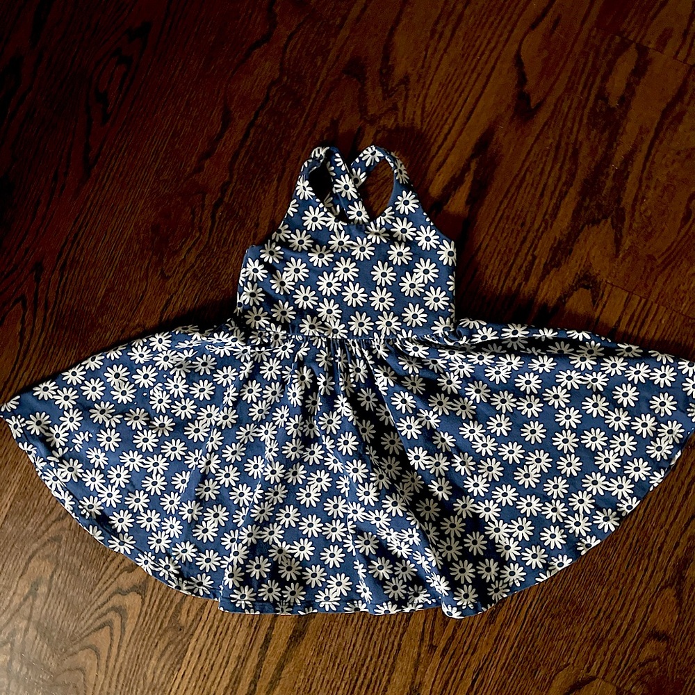 Alice and Ames penny dress